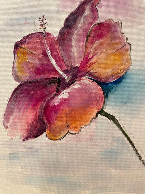 Hibiscus [$30]